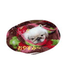 ピンクのルナちゃん（個別スタンプ：8）