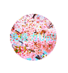 cherry blossom Japan12(負けない！励まし)（個別スタンプ：2）