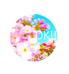 cherry blossom Japan12(負けない！励まし)（個別スタンプ：9）