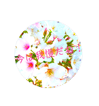 cherry blossom Japan12(負けない！励まし)（個別スタンプ：10）