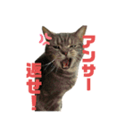 僕が一番可愛いぞ（個別スタンプ：3）