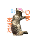 僕が一番可愛いぞ（個別スタンプ：4）