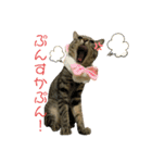 僕が一番可愛いぞ（個別スタンプ：7）