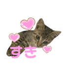 僕が一番可愛いぞ（個別スタンプ：12）