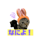 僕が一番可愛いぞ（個別スタンプ：16）