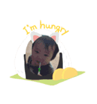 kotakotacha（個別スタンプ：6）