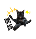 猫が好き。（個別スタンプ：7）