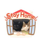 猫が好き。（個別スタンプ：12）
