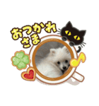 りこ作（個別スタンプ：1）