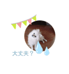 ぷっちゃんスタンプ01（個別スタンプ：2）