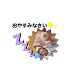 ぷっちゃんスタンプ01（個別スタンプ：4）