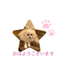 ぷっちゃんスタンプ01（個別スタンプ：6）