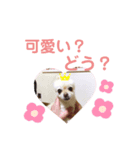 ぷっちゃんスタンプ01（個別スタンプ：7）