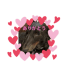 リボンの毎日（個別スタンプ：13）