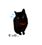 黒猫ミックとクレオ（個別スタンプ：3）