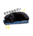 黒猫ミックとクレオ（個別スタンプ：6）