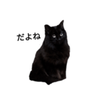 黒猫ミックとクレオ（個別スタンプ：8）