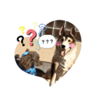 大祐スタンプ。（個別スタンプ：13）