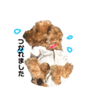 わたちナナ。よろしくね（個別スタンプ：4）