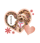 わたちナナ。よろしくね（個別スタンプ：7）