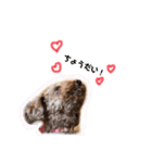 わたちナナ。よろしくね（個別スタンプ：9）