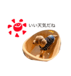 わたちナナ。よろしくね（個別スタンプ：14）