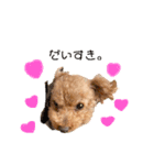 わたちナナ。よろしくね（個別スタンプ：16）