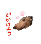 イタグレのナッシュくん（個別スタンプ：9）