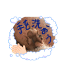 イタグレのナッシュくん（個別スタンプ：12）