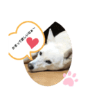 エノキ（個別スタンプ：5）
