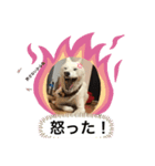エノキ（個別スタンプ：7）