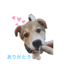 surfくん（個別スタンプ：4）