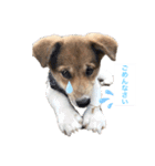 surfくん（個別スタンプ：5）