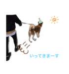 surfくん（個別スタンプ：16）