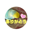 サランファミリー！主！！！（個別スタンプ：1）