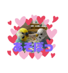 サランファミリー！主！！！（個別スタンプ：7）