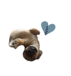 愛犬ふぁみりー（個別スタンプ：2）