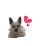 愛犬ふぁみりー（個別スタンプ：19）