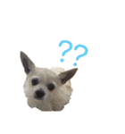 愛犬ふぁみりー（個別スタンプ：20）