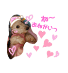 愛犬てぃらオリジナルスタンプ（個別スタンプ：8）