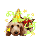 愛犬てぃらオリジナルスタンプ（個別スタンプ：11）