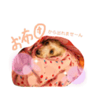 愛犬てぃらオリジナルスタンプ（個別スタンプ：28）