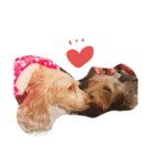 愛犬てぃらオリジナルスタンプ（個別スタンプ：29）