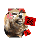 愛犬てぃらオリジナルスタンプ（個別スタンプ：37）