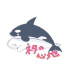 シャチとベルーガの1周年記念スタンプ（個別スタンプ：3）