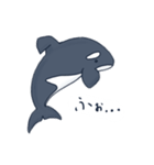 シャチとベルーガの1周年記念スタンプ（個別スタンプ：11）