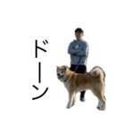 秋田犬面白ろスタンプ（個別スタンプ：8）