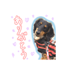 テミン君の日常(1)〜JPver.〜（個別スタンプ：1）