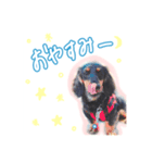 テミン君の日常(1)〜JPver.〜（個別スタンプ：2）
