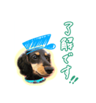 テミン君の日常(1)〜JPver.〜（個別スタンプ：3）